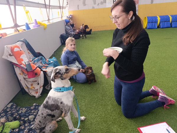 CANISTERAPEUTICKÉ ZKOUŠKY: Veselí nad Moravou 17. ledna 2026